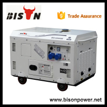 BISON China Zhejiang china generator electric 220v, alternator generator 220v, 13 kva diesel generator